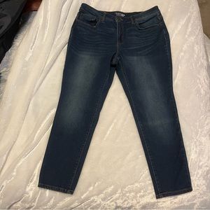 Time and Tru Dark Wash High Rise Skinny Jeans